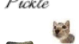 Cyn Discord Bot Banner