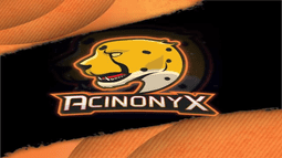 Acinonyx Discord Bot Banner