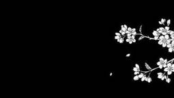 ZeoN ™ Discord Bot Banner