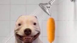 vid bot(24/7) Discord Bot Banner
