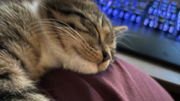 Hugo Discord Bot Banner