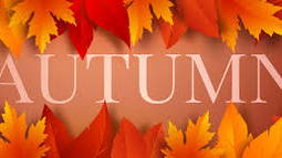 Autumn Bot Discord Bot Banner