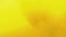 Bumblebee Discord Bot Banner