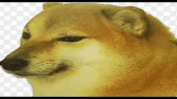 cheems Discord Bot Banner