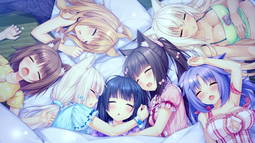 ZenoxBot Discord Bot Banner