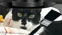 Bella art bot Discord Bot Banner