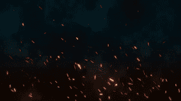 ZOOM Discord Bot Banner