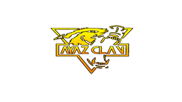 Ayaz Community Discord Bot Banner