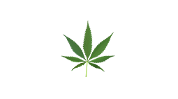 DrugBot Discord Bot Banner