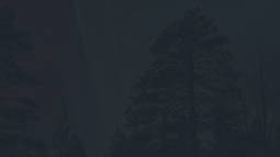 Ginto'ish Discord Bot Banner