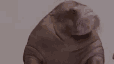 EMIR BOT Discord Bot Banner