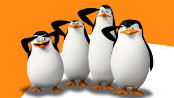 Skipper Discord Bot Banner