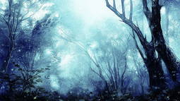 Planetoid Discord Bot Banner