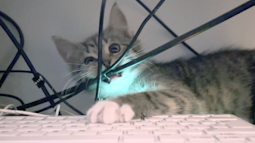 Hugo Discord Bot Banner