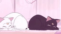 NightFire Discord Bot Banner