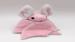 Kox Oliwia Discord Bot Banner
