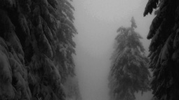 Mataru Discord Bot Banner