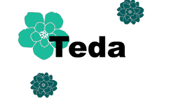 Teda Discord Bot Banner