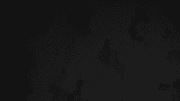 Flex Memer Discord Bot Banner