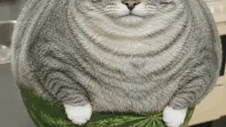 PifTemplate Discord Bot Banner