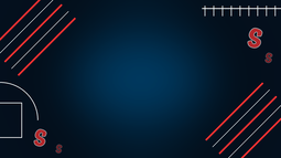 Stakes Discord Bot Banner