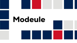 Modeule Discord Bot Banner