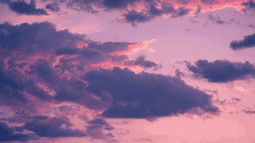 ZERO™ Discord Bot Banner