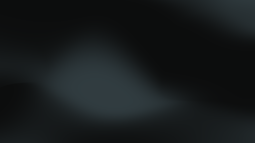 Fake bleed Discord Bot Banner