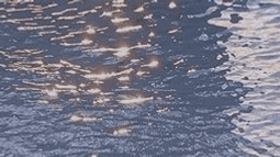 amour Discord Bot Banner