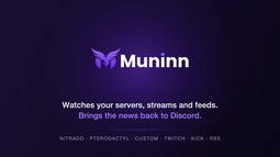 Muninn Discord Bot Banner