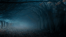 MysticalBot Discord Bot Banner