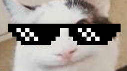 RomanianCat🐱💻 Discord Bot Banner