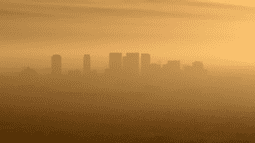 Smogger Discord Bot Banner