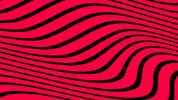 TACO Discord Bot Banner