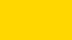 Yellow Fish 5 Discord Bot Banner