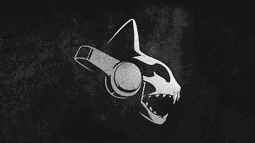 Flow Discord Bot Banner