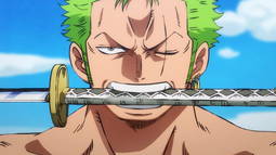 Zoro Discord Bot Banner
