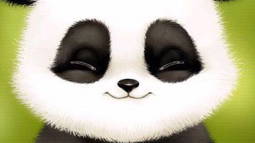 Panda-bot Discord Bot Banner