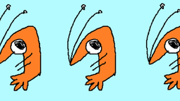 Chwopcha Discord Bot Banner
