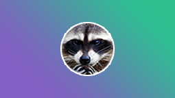 RacoonBot Discord Bot Banner