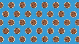 Cookie Discord Bot Banner