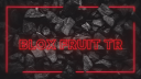 Blox Fruit TR #COMEBACK Discord Server Banner