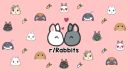 Rabbitors Discord Server Banner