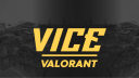 Vice Discord Server Banner