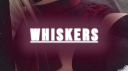Whiskers Discord Server Banner