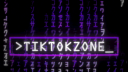 TikTok Zone Discord Server Banner