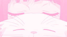 Suzuka Discord Bot Banner