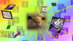 Cat Bot Discord Bot Banner