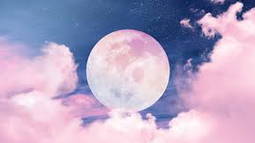 Lunar Discord Bot Banner
