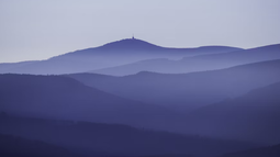 Beep Boop Discord Bot Banner